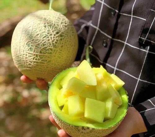 娱乐圈吃瓜素材,揭秘明星们的幕后故事