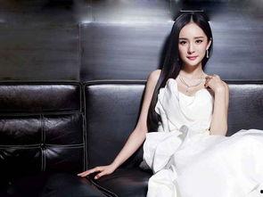 娱乐圈八卦吃瓜爆料杨幂