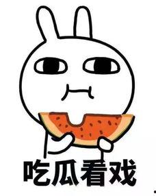 娱乐吃瓜君团团,揭秘娱乐圈那些不为人知的幕后故事