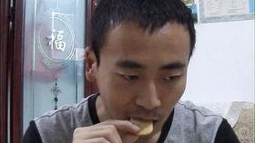 狐狸叫搞笑合集